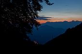 29_Alberi e montagne